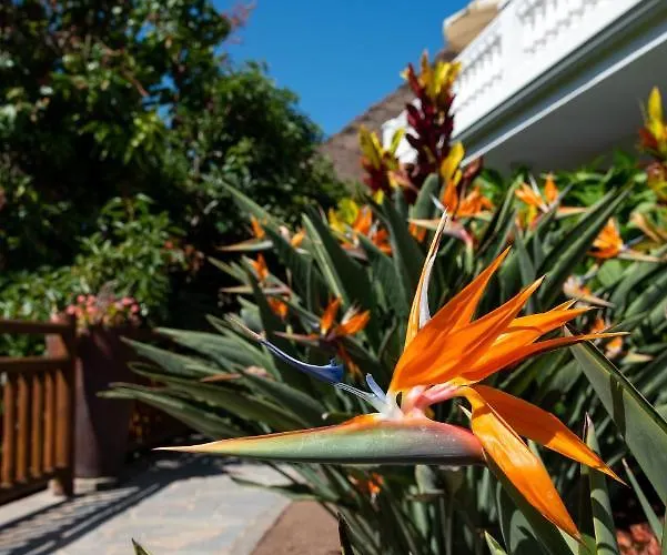 El Moral * 莫甘海滩